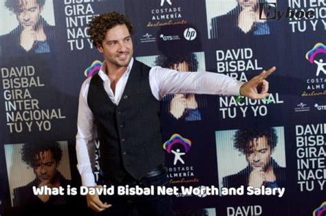 david bisbal net worth|Lee Tamahori Biography: Wife, Age, Net Worth,。